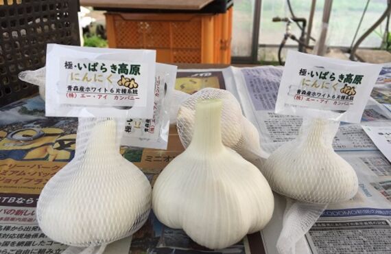 国産の極・いばらき高原にんにくは、臭いが気になる方にお勧めです。